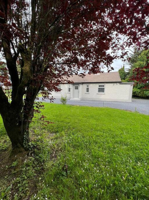 Ballybur Cottage Kilkenny Exteriör bild